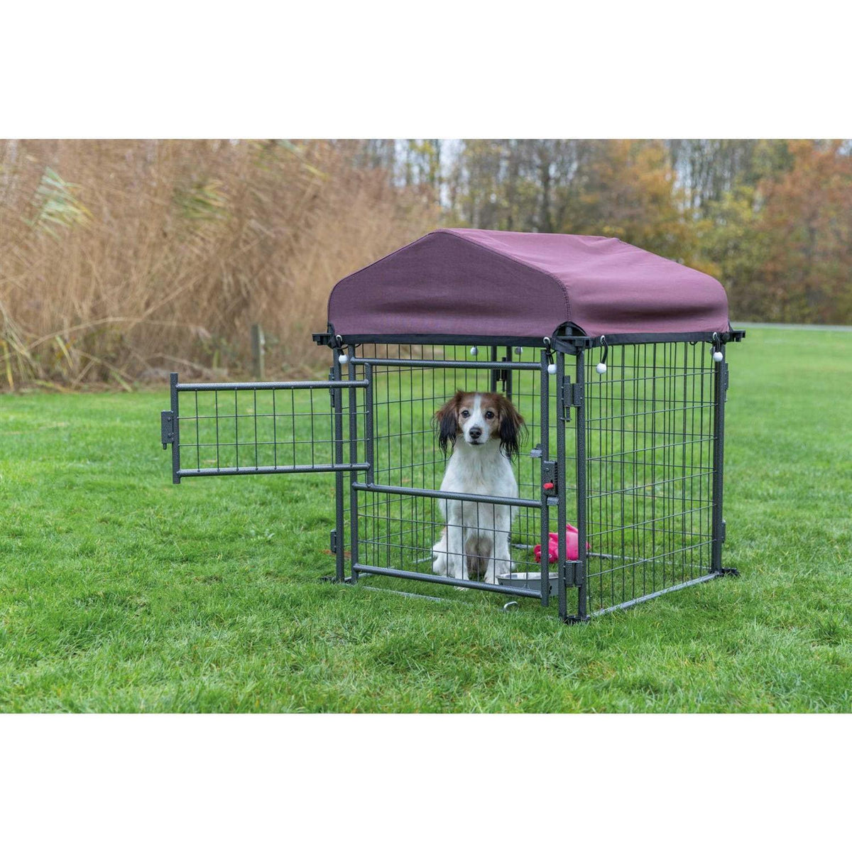 Outdoor Dog Kennel with Cover V6825