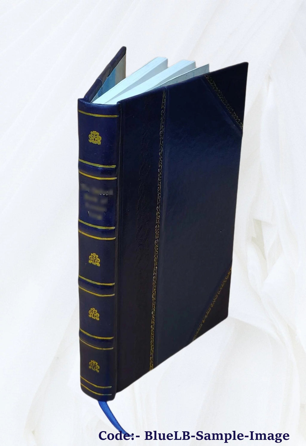 19th Century Works and Men Volume 13 Leather Bound D3851