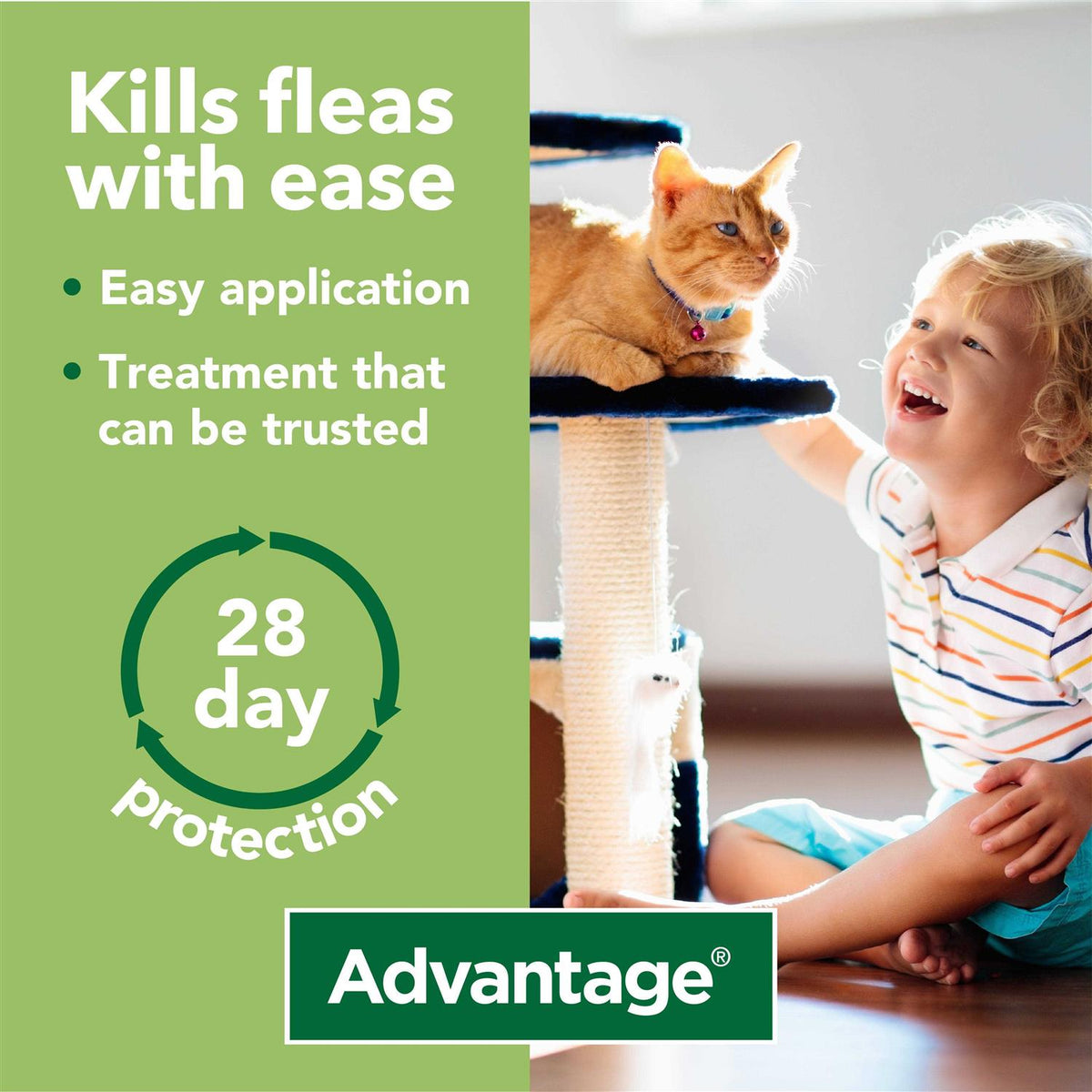 Spot-On for Small Cats F421639