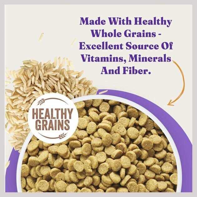 Indoor Dry Cat Food R684
