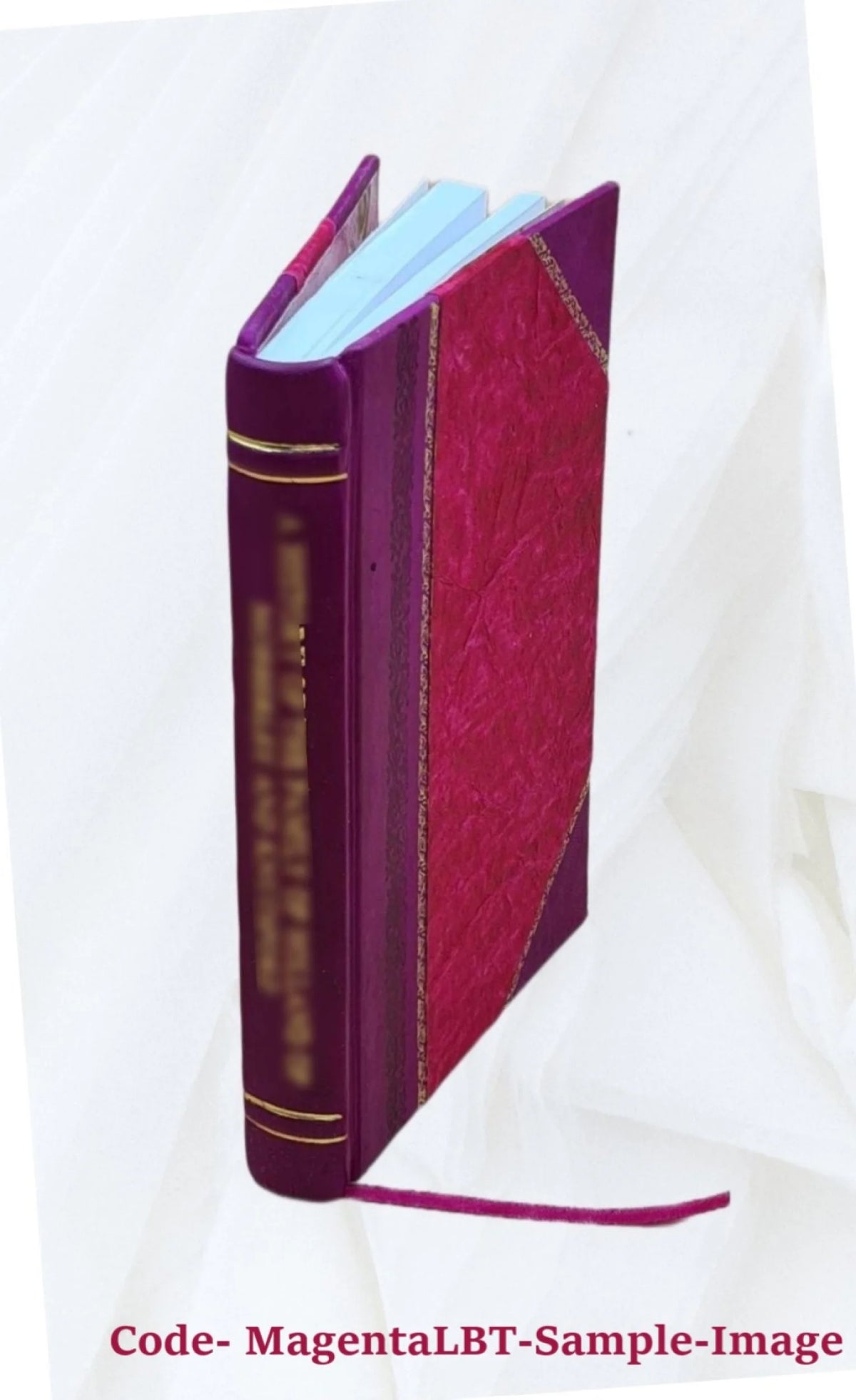 Leather Bound Furniture M6296