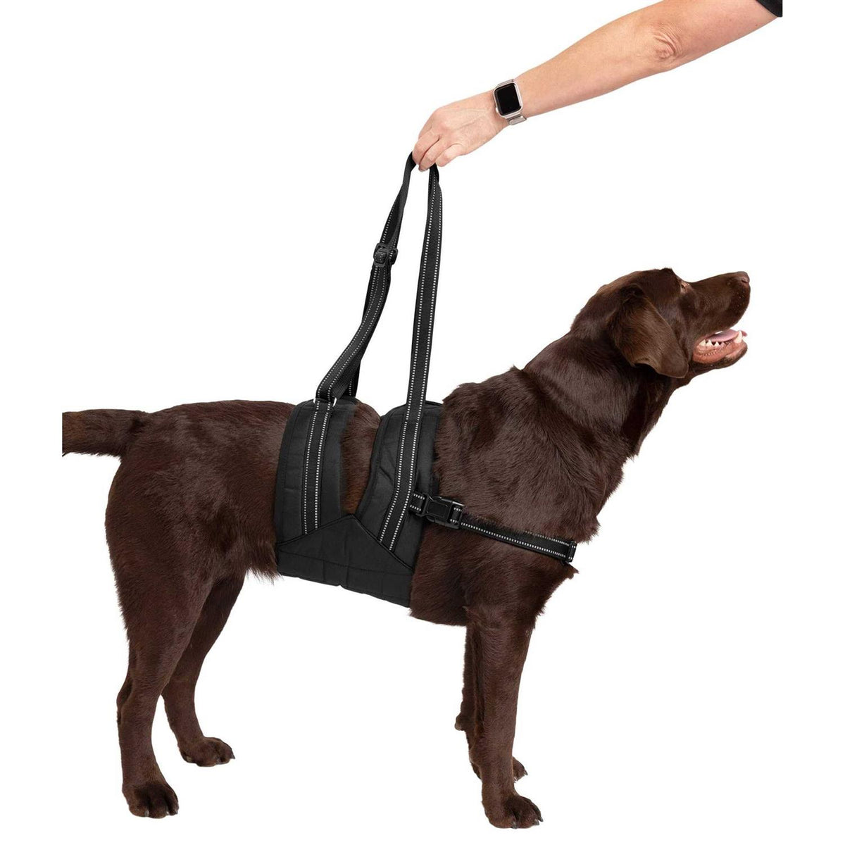 Veterinarian Approved Dog Sling Assist with Chest Strap R96190