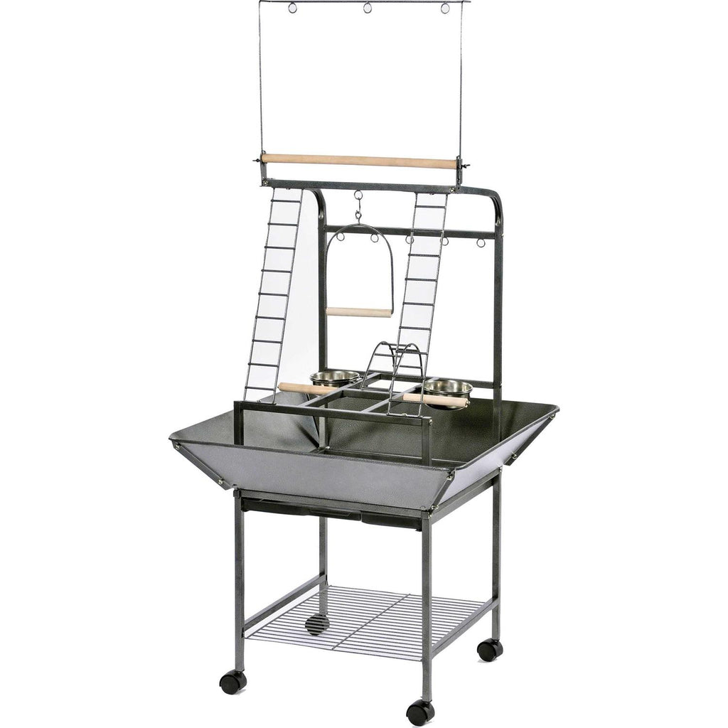 Small Parrot Playstand P300431