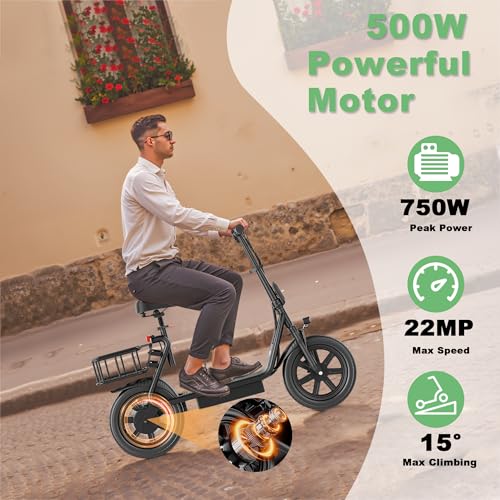 Electric Scooter with Dual Braking Dual Suspension D82413