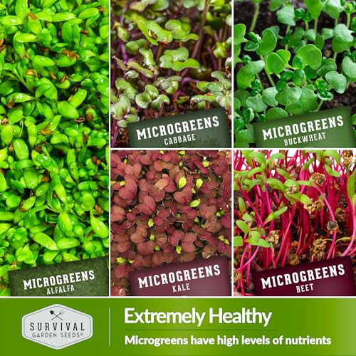 Microgreens 10 Pack Seeds T135030
