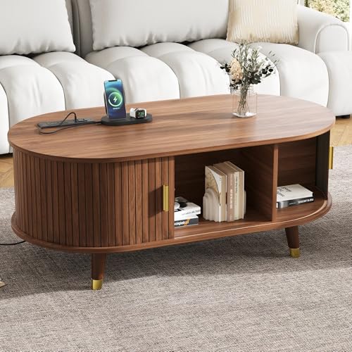 42.5'' Oval Wood Coffee Table with Storage and Charging Station L764227