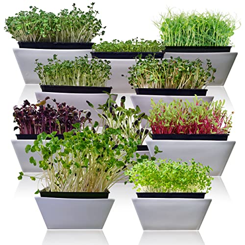 Microgreens 10 Pack Seeds T135030