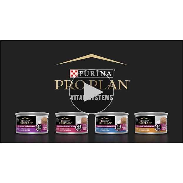 Wet Cat Food U61001