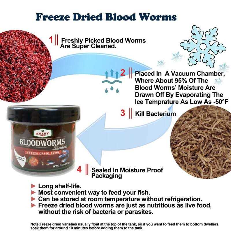 Freeze Dried Blood Worms Fish Food U65699