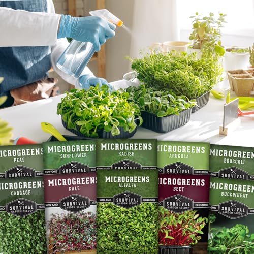 Microgreens 10 Pack Seeds T135030