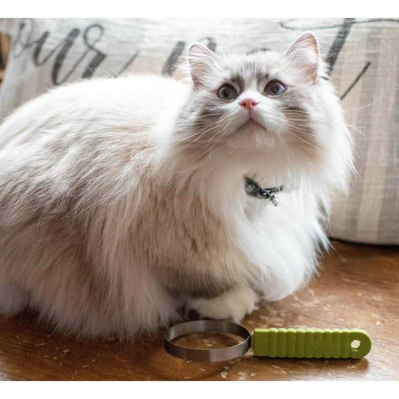 Cat Shedding Blade R593