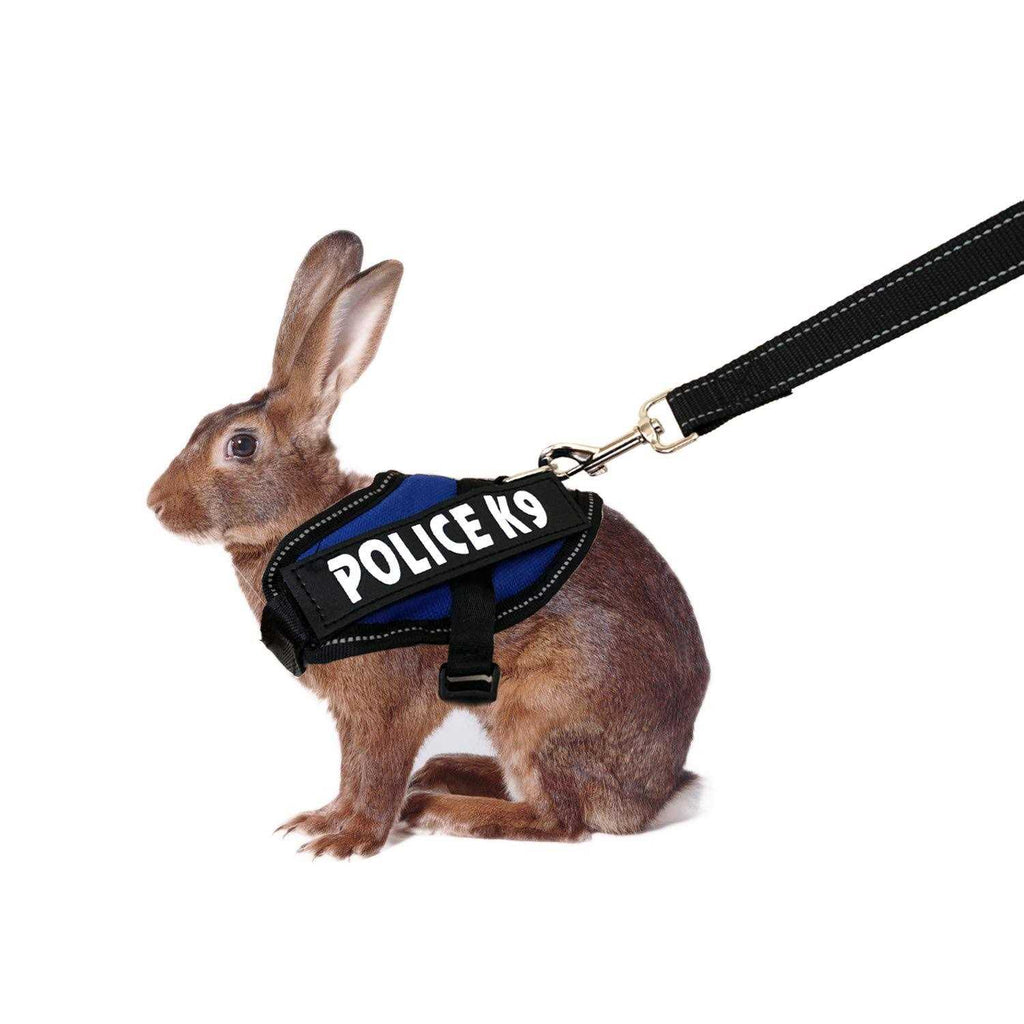 Rabbit Harness with Leash Q326