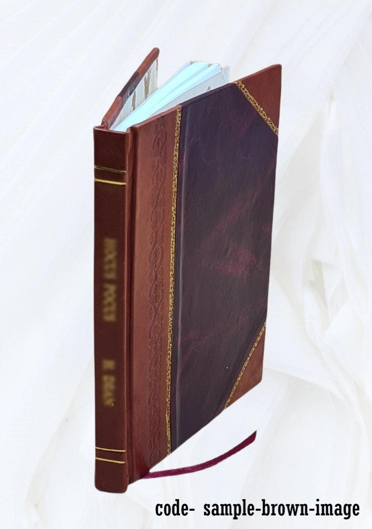 Leather Bound P790733