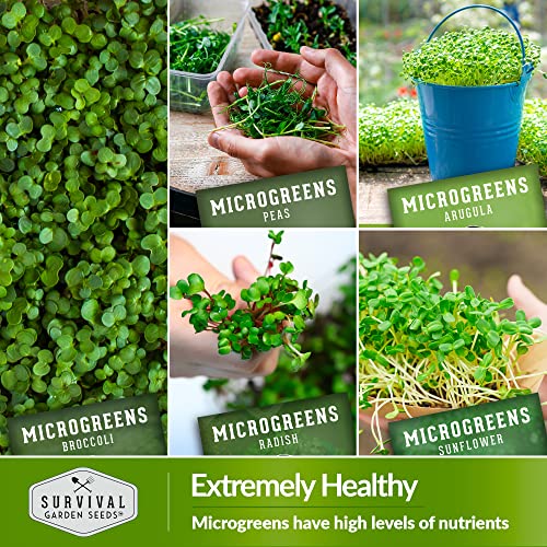 Microgreens 10 Pack Seeds T135030