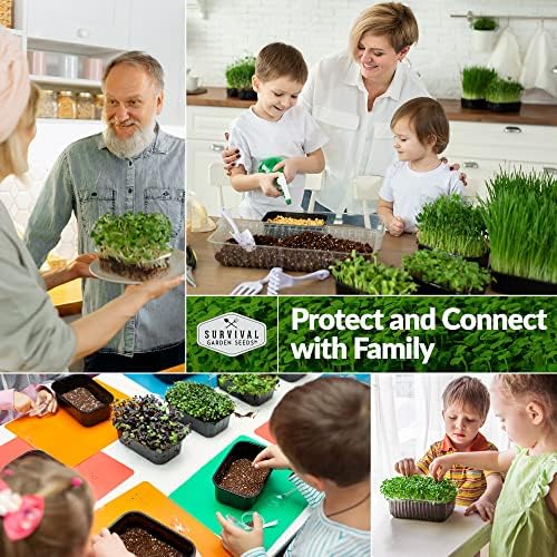 Microgreens 10 Pack Seeds T135030
