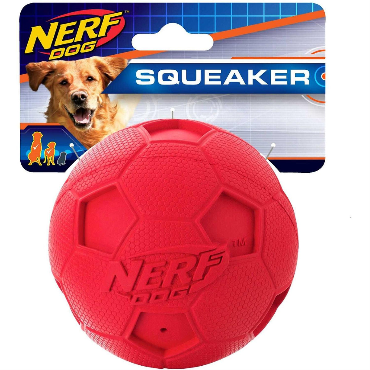 Dog Soccer Ball R884597
