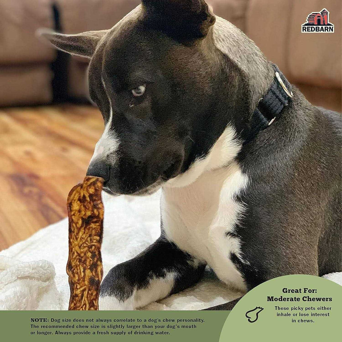 Dog Treats J187