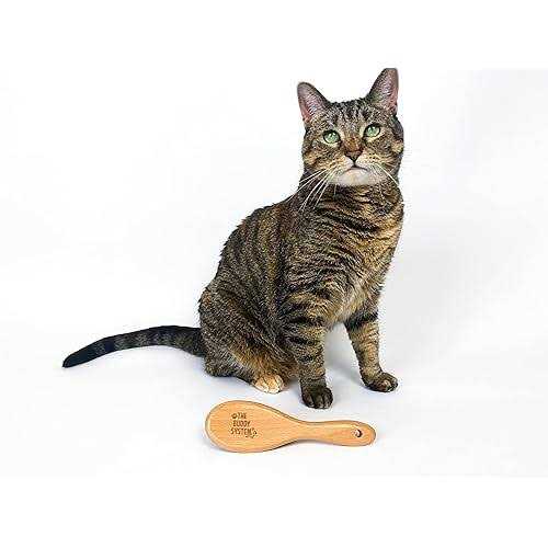 Boar Bristle Wooden Handle Cat Brush Z4269