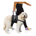 Veterinarian Approved Dog Sling Assist with Chest Strap R96190