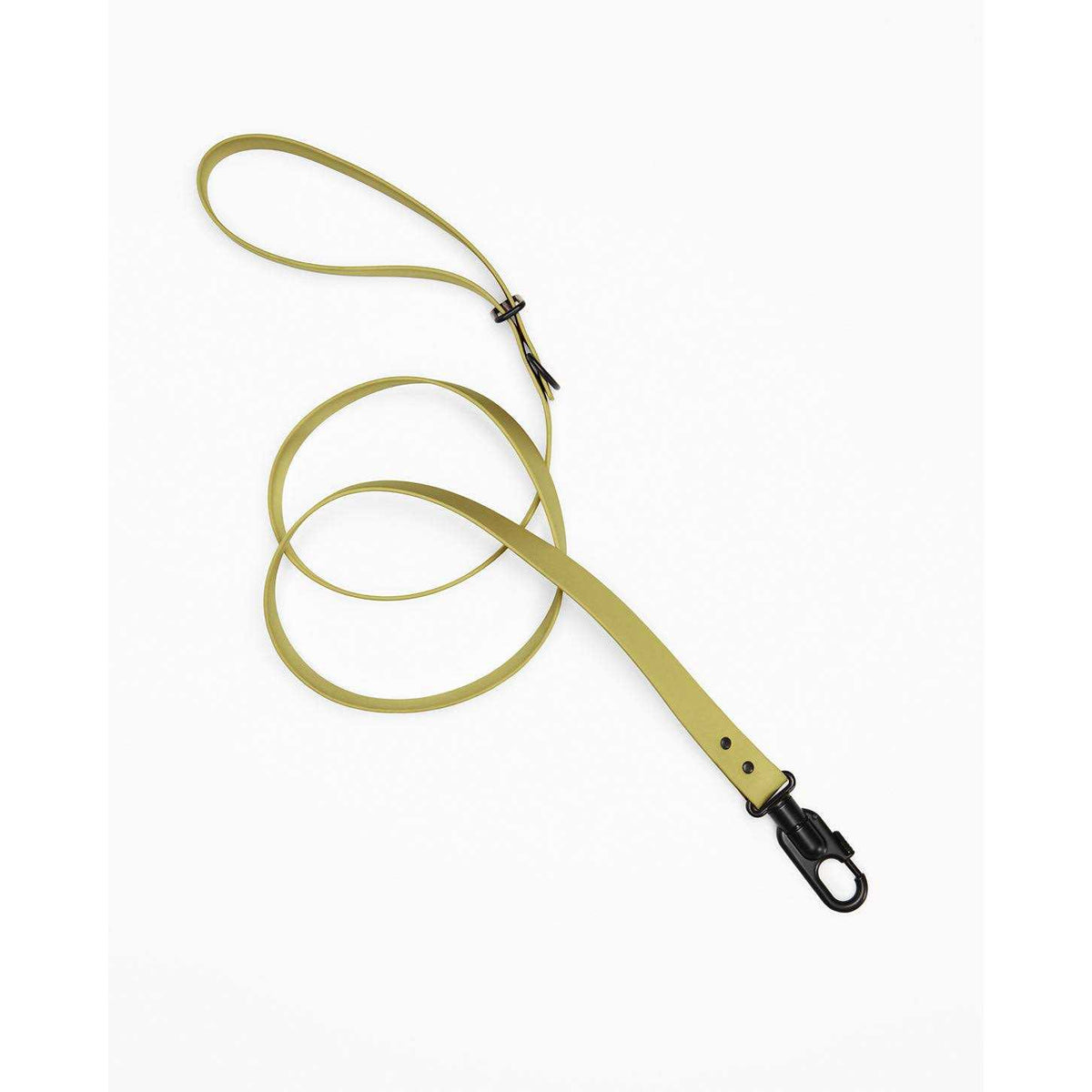 Waterproof Dog Leash Light Green L/XL B824