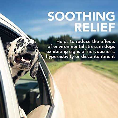 Comfort Calm Soft Chews S426852